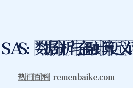 SAS:数据分析与金融计算近义词是什么意思的图片
